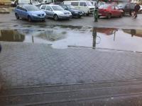 Imagine atasata: zona dambovita 046.jpg